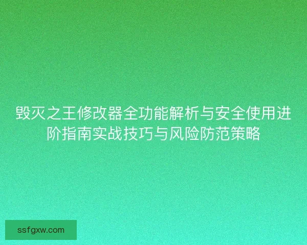毁灭之王修改器全功能解析与安全使用进阶指南实战技巧与风险防范策略